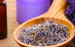 Aromatherapy-Lavender Essentials - Featured Image
