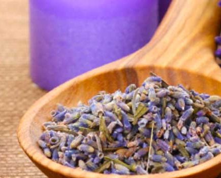 Aromatherapy-Lavender Essentials - Featured Image